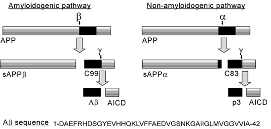 Image:amyloidogenic.jpg