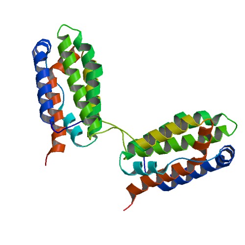 Image:1ilk bio r 500.jpg