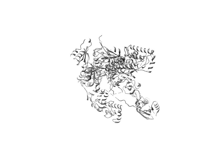 Image:A190ribbon.jpg