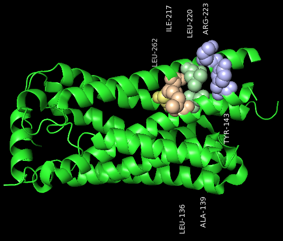 Image:Cluster 4 new.png