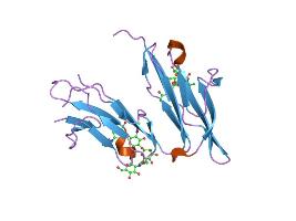 Image:PDB 1f2q EBI.jpg
