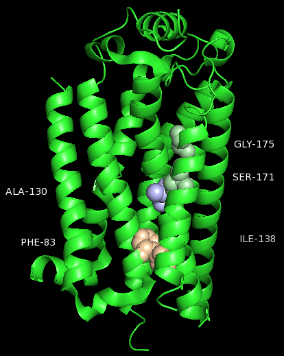 Image:Cluster 2 new.png