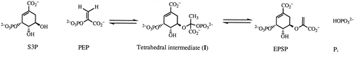 Image:Reaction scheme.png