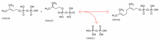 Image:FPPS Mechanism.gif