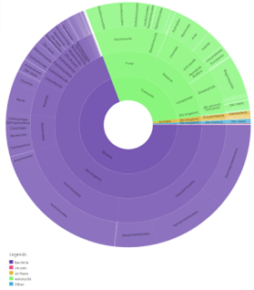 Image:InterPro_9.png