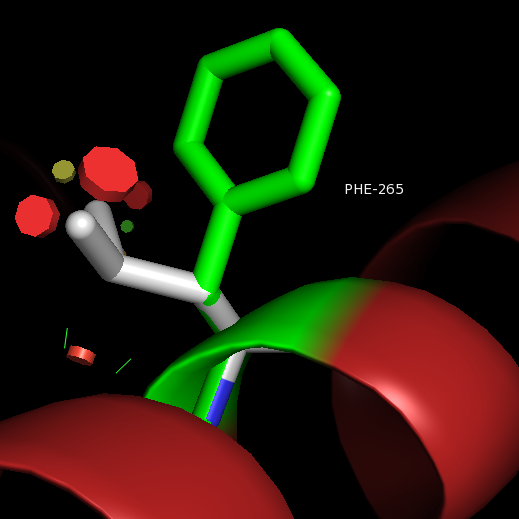 Fig17: Mutation F → L → 265.