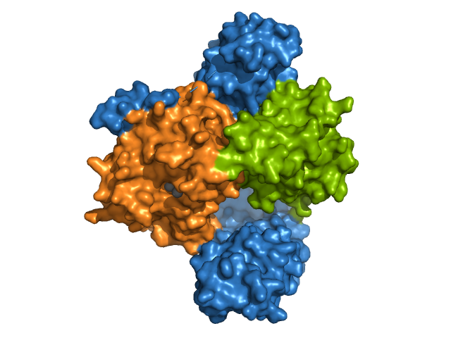 Image:Ray traced surface image.png