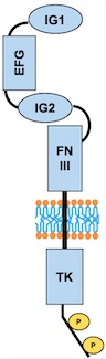 Image:TIE2 Schema.jpg