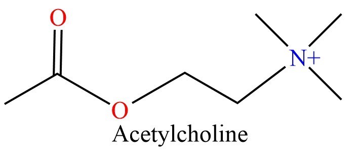 Image:Acetylcholine and Epibatidine (2).jpg