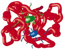 Image:Binding Site.png