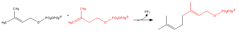Image:Cholesterol-Synthesis-Reaction8.png