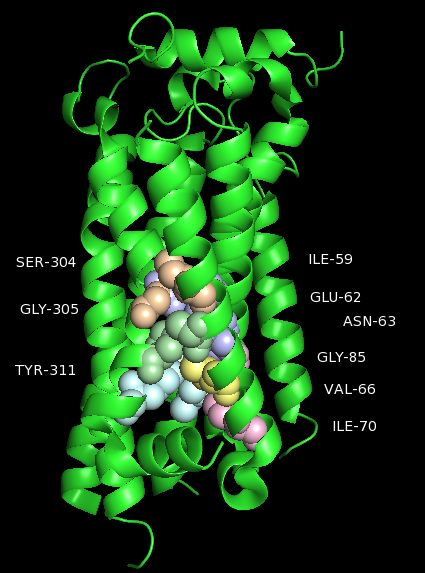 Image:Cluster 1-new.png