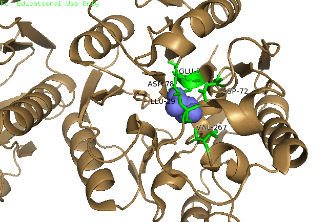 Image:P56965 with homo.gif