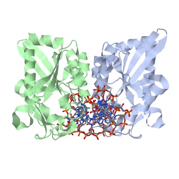 Image:Getfrozenstructureid=1BHM (2).jpg