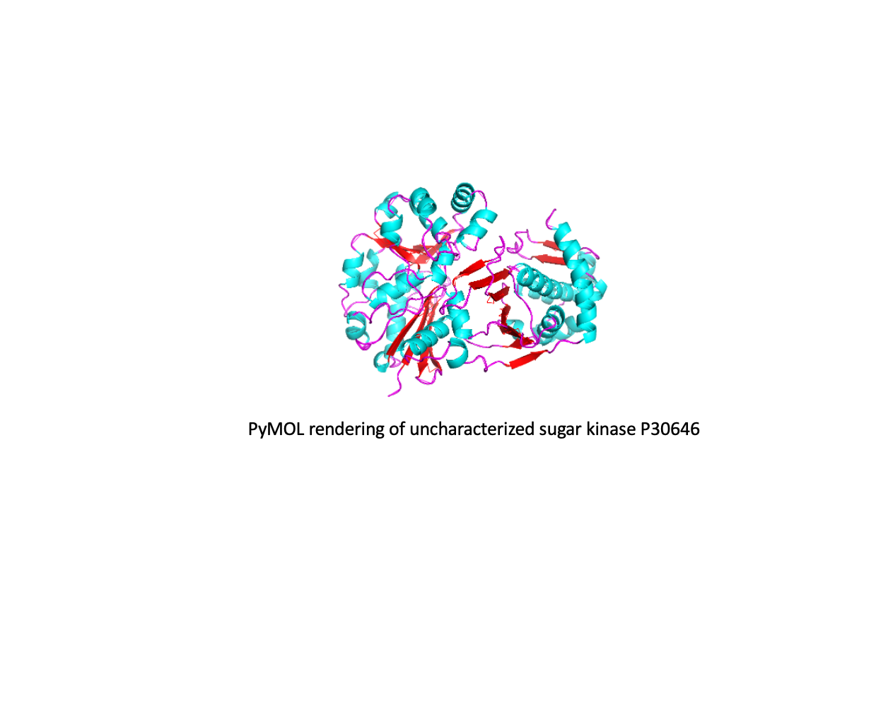 Image:StructureP306464.png