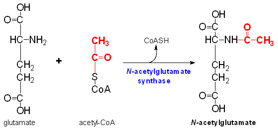 Image:Nag-synthesis.jpg