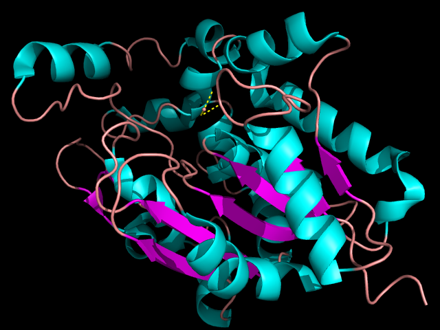 Image:pymol.png