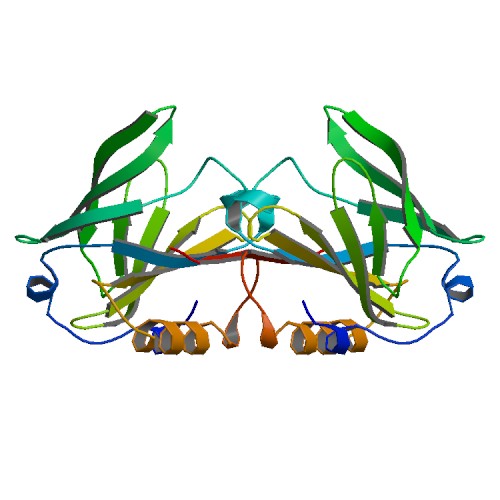 Image:1b8e bio r 500.jpg