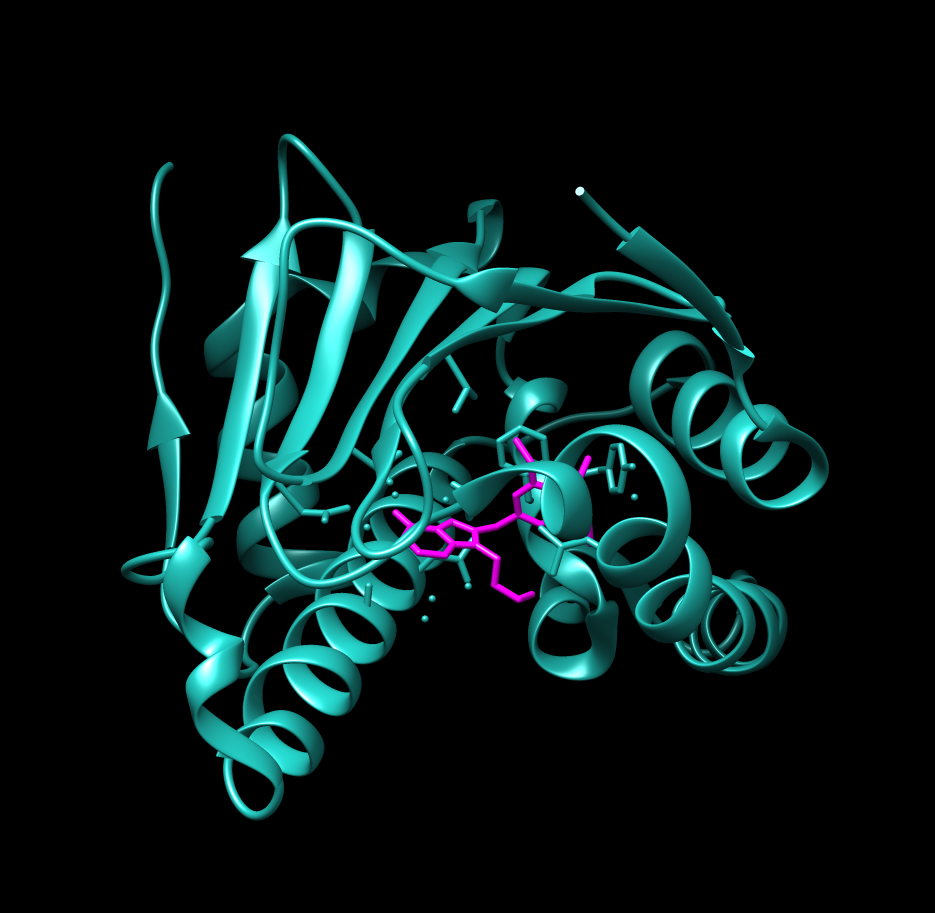 Image:1uym.png