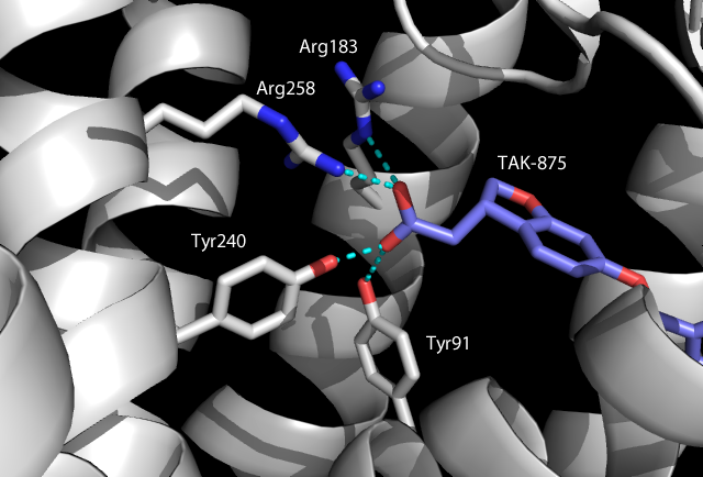Image:Hydrogen bonding black.png