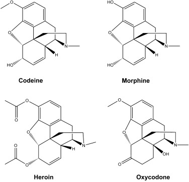 Image:Opiates.jpg