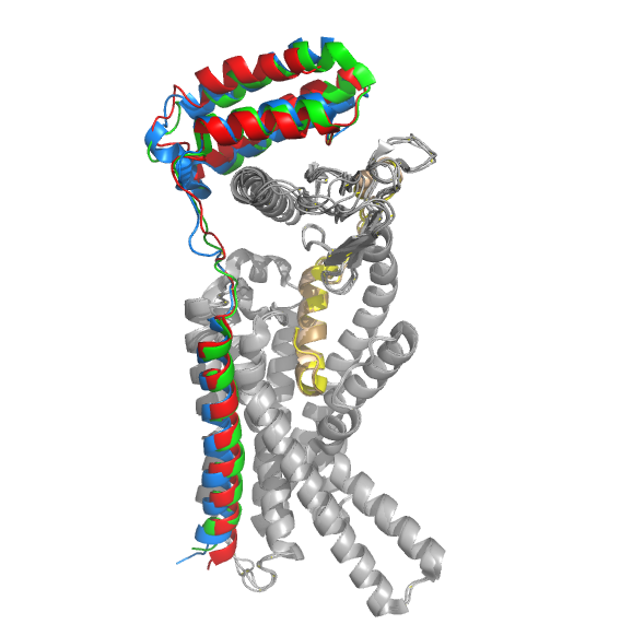 Image:Amylin Receptors with ramp 1, 2, 3.png