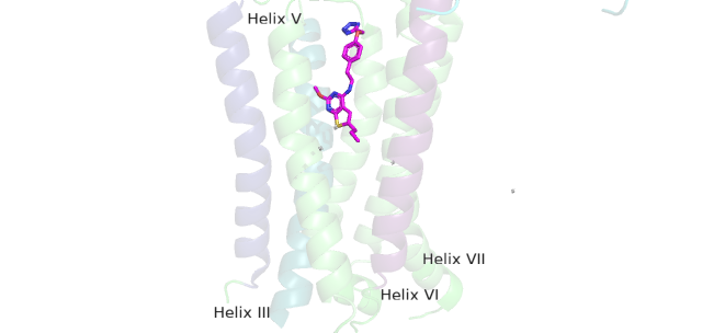 Image:PAM binding pocket correct.png