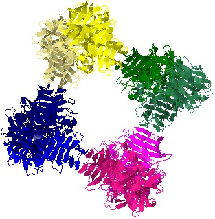 Image:Invertase.jpg