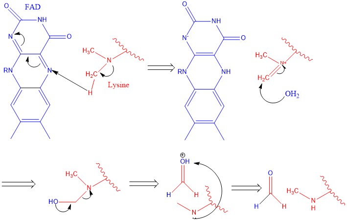 Image:LSD1 Mech1.jpg