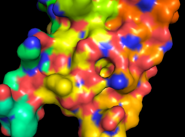 Image:PFBDP1_Surface_2.png