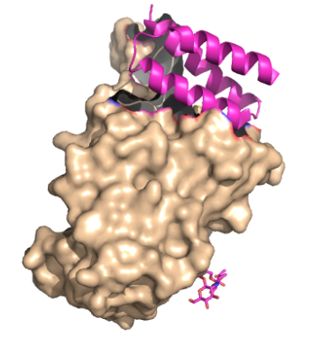 Figure 1. The coolest image ever!