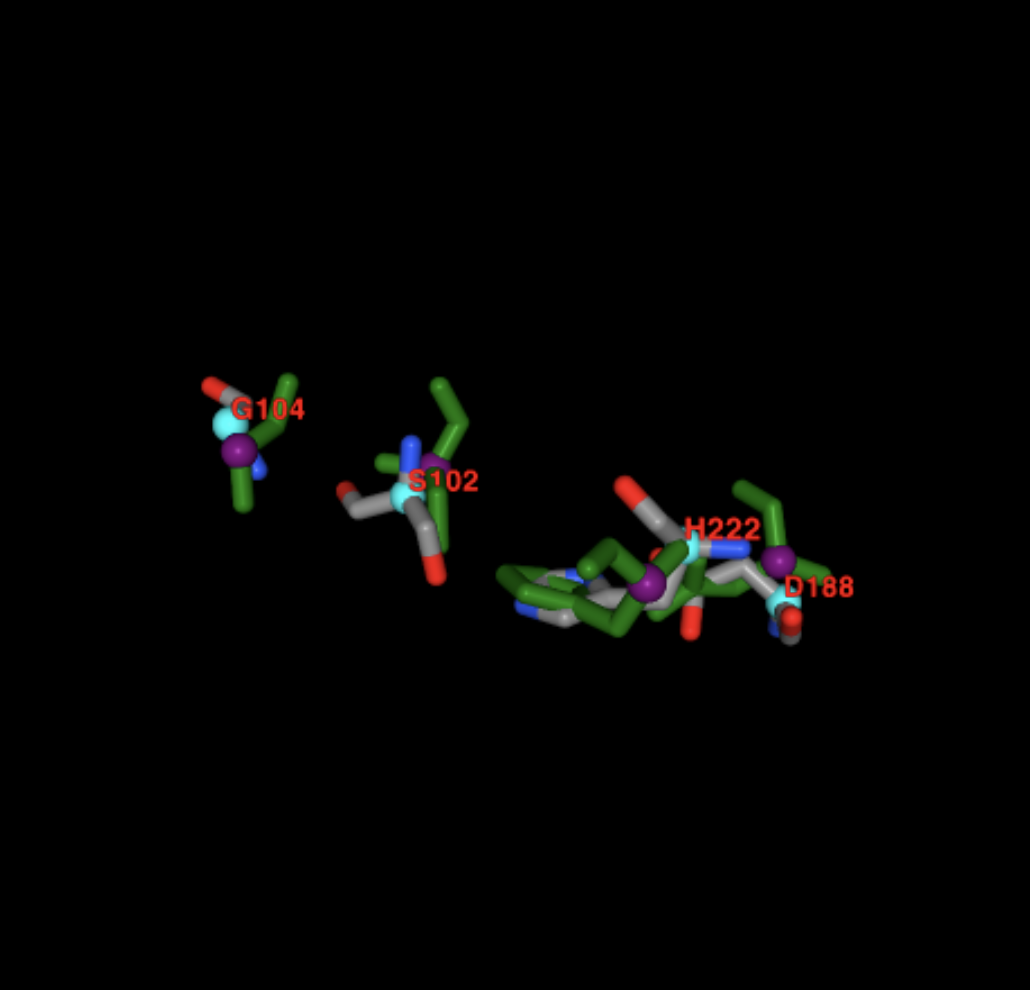 Image:Screenshot 2024-04-28 at 5.35.14 PM.png