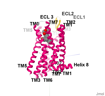 Image:Nature10954Fig1aLeft 4dkl-2.png
