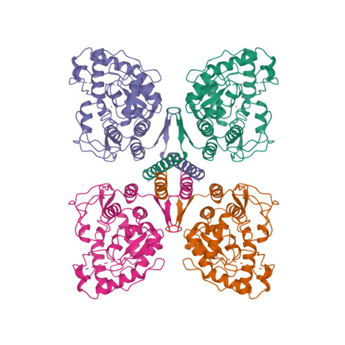 Image of jigsaw globe logo