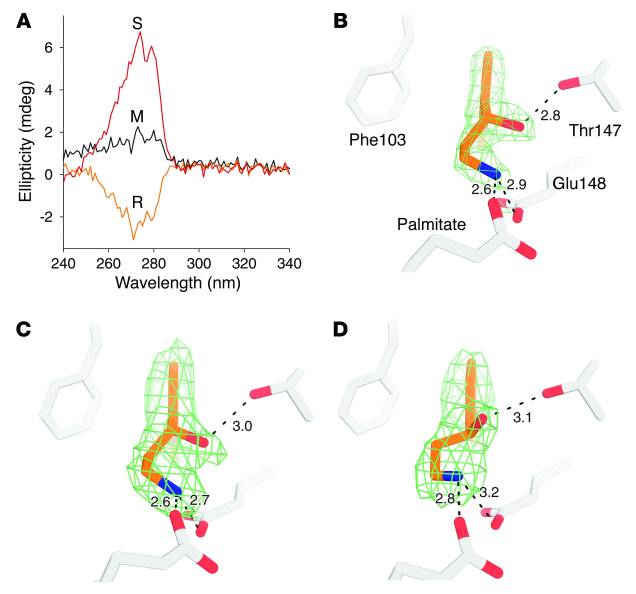 Image:Figrue9 R S Emixustat binding pocket.jpg
