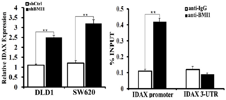 Image:BMI1 regulates IDAX transcription.png