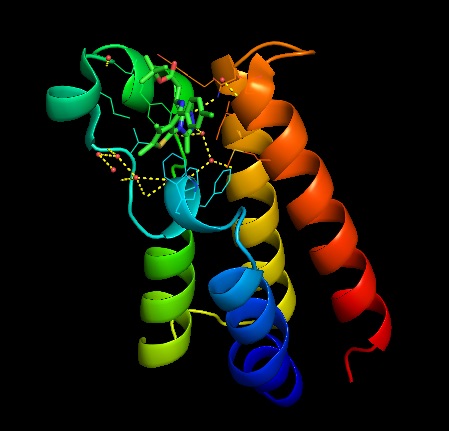 Image:JQ1 binding site.jpg