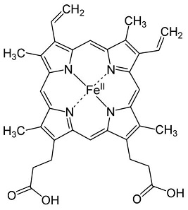 Image:Heme.jpg