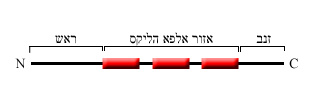 Image:helix.jpg