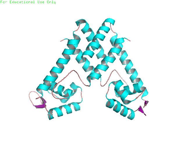 Image:3TGN image.png
