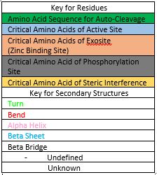 Image:Caspase 6 sequence image key.JPG