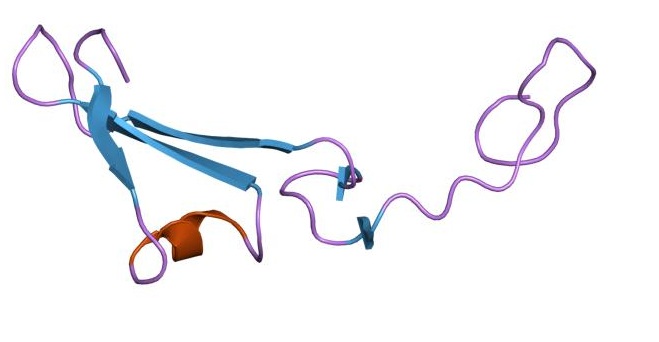 Image:PDB 1hre EBI2.jpg