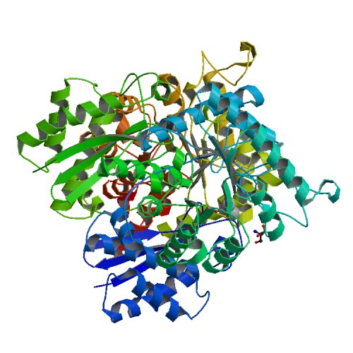 Image:Neuron Specific Enolase.jpg