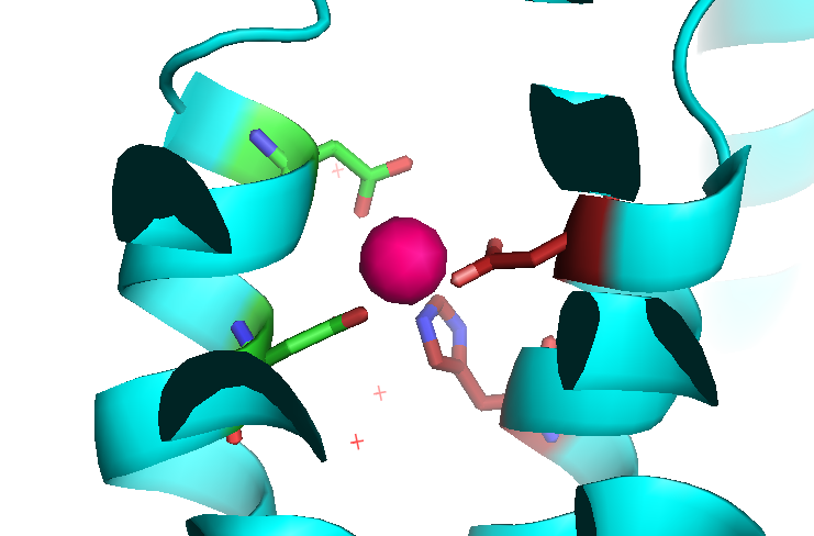 Image:Binding site A.fw.png