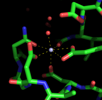 Image:Calmodulin Ca site.gif