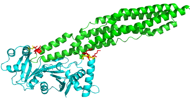 Image:EspG3 PPE hinderance W.png