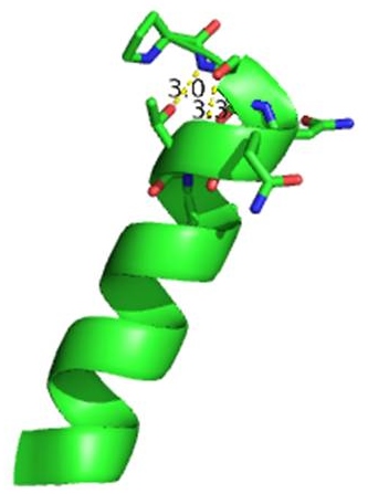 Image:Ntermcap.jpg