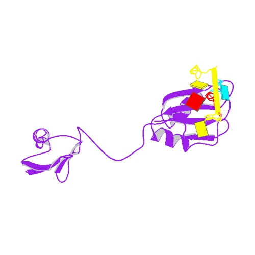 Image:2i2y.pdb-500.jpg