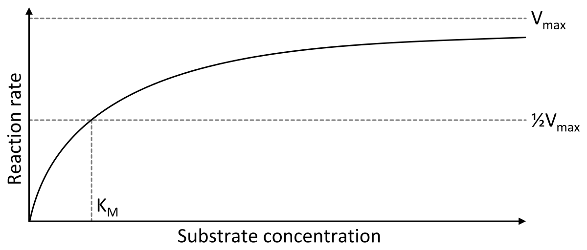 Image:image.png