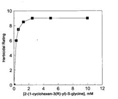Figure 4. Herbicidal Effect of CHG on Arabidopsis Plant